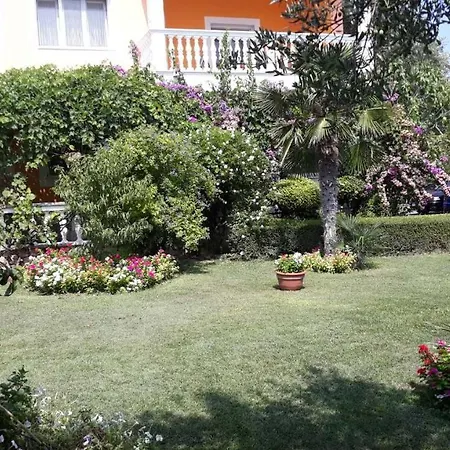 Seka Antica Vodice